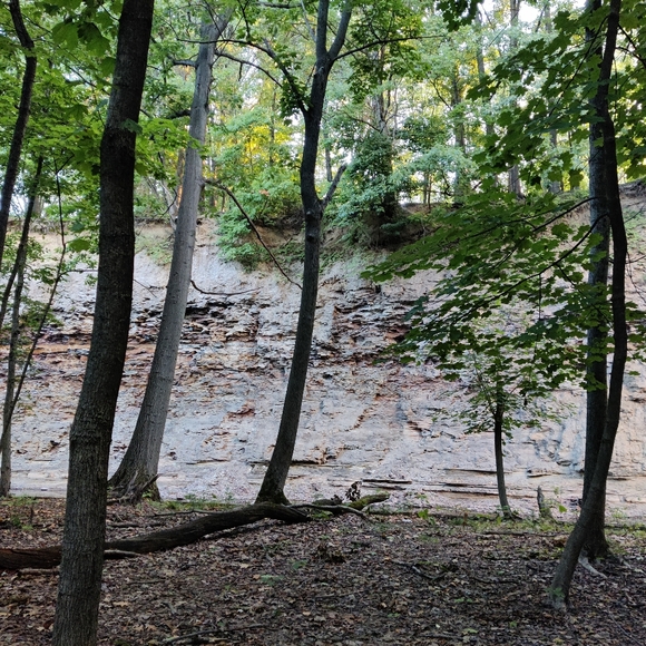 Meet your Posher, Desirae - Picture 4 of 4